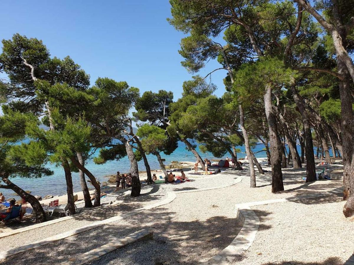 Mobile Home Starfish IV Camp Biograd Biograd Na Moru Exterior photo